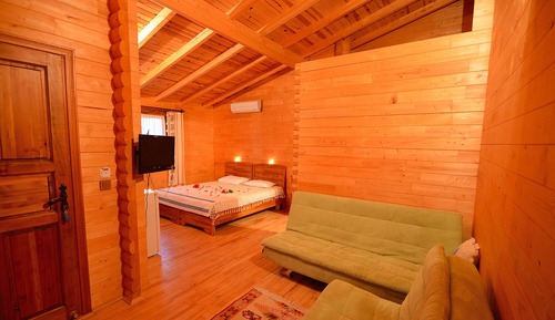 Comfort Tree House
