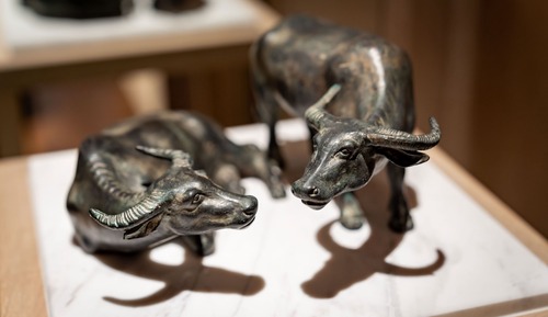 Room, 2 Twin Beds, Pool Access