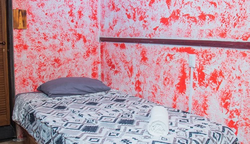 Basic Shared Dormitory (3 Beds)