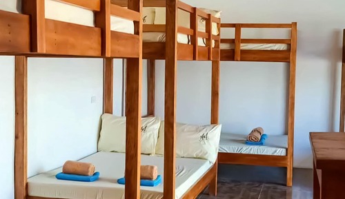 Classic Shared Dormitory