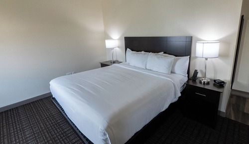 Executive Suite, 1 King Bed with Sofa bed, Non Smoking (King)