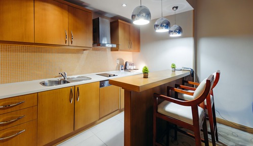 Luxury Apartment