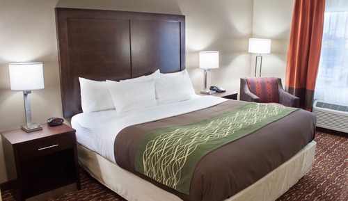 Room, 1 King Bed, Accessible, Non Smoking