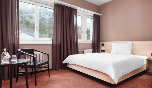 Standard Double Room, 1 Queen Bed