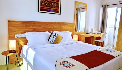 Deluxe Double or Twin Room