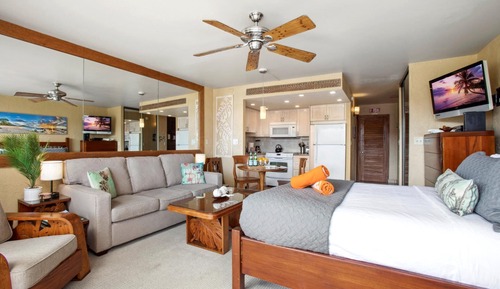 Condo (0 Bedroom)