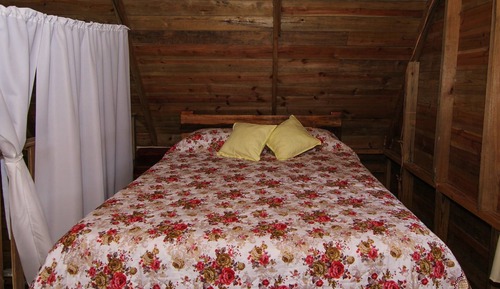 Cabin, 1 Bedroom, Patio, View