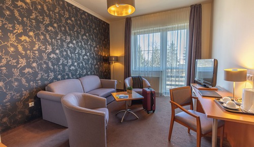 Superior Suite, Non Smoking, City View