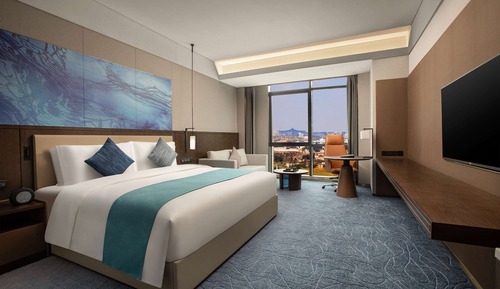 Business Room, 1 King Bed