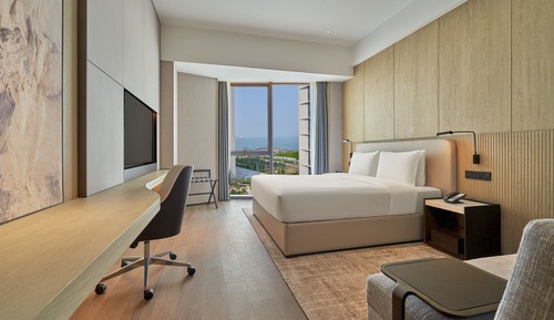 Studio, 1 King Bed with Sofa bed, Kitchen