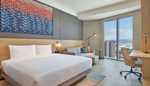 Room, 1 King Bed with Sofa bed