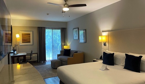 Superior Room, 1 King Bed, Non Smoking