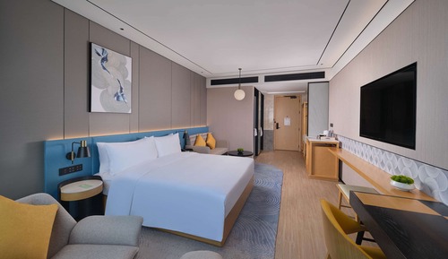 Room, 1 King Bed, Accessible