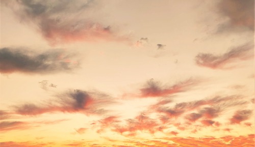 Standard King Room, Non Smoking