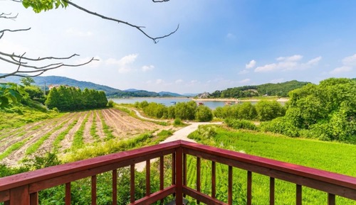 Room (Suite room (132 Wooden House))