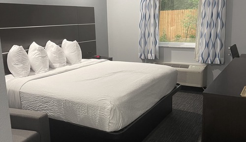 Room, 1 King Bed, Non Smoking