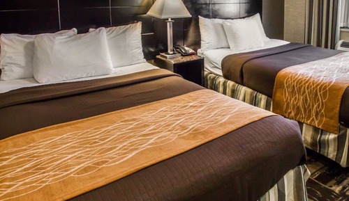 Standard Double Room, 2 Double Beds, Non Smoking