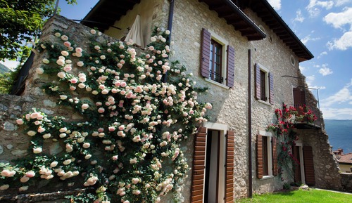 Apartment, 2 Bedrooms, Balcony