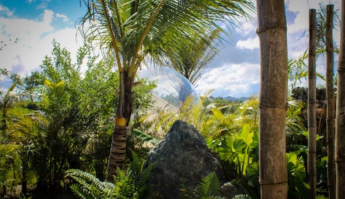 Double Bubble One King Bed with Exterior Bathtub