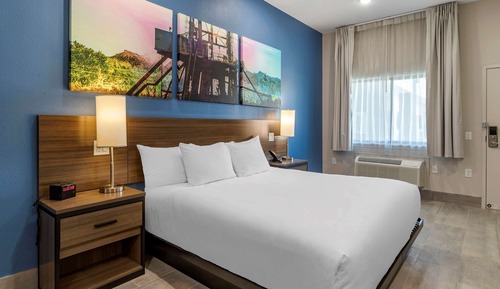 Room, 1 King Bed, Accessible, Non Smoking