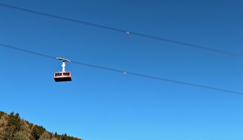 Basic Apartment, Multiple Beds