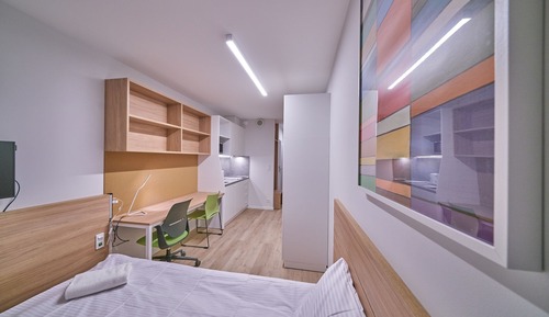 Standard Double Room Single Use