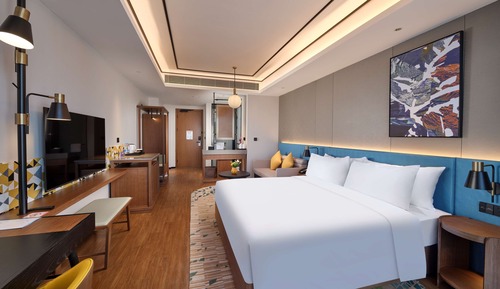 Basic Room, 1 King Bed