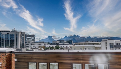 Business Single Room