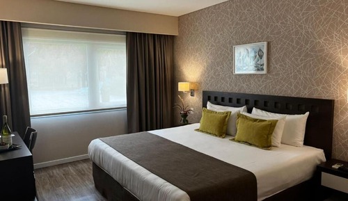 Deluxe Room, 1 King Bed