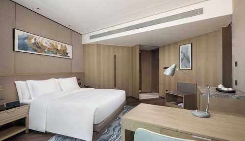 Room, 1 King Bed, Non Smoking (Delight)