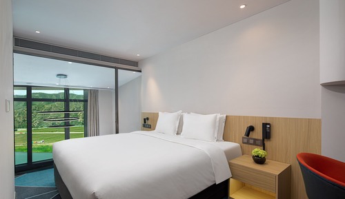 1 King 1 BDRM Suite with Sofabed