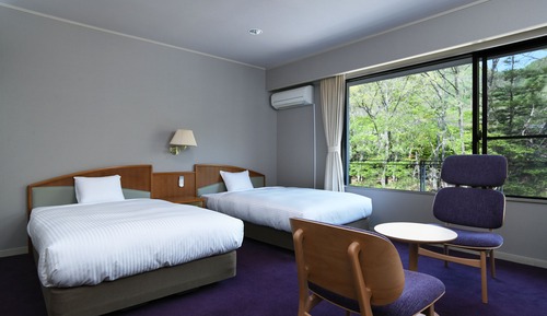 Superior Twin Room, Non Smoking