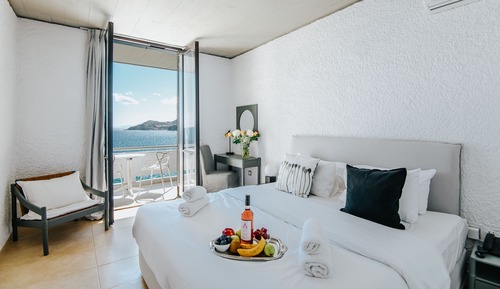 Exclusive Double or Twin Room