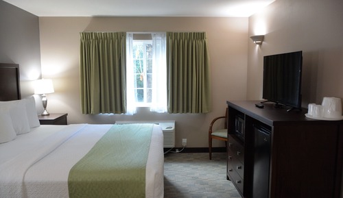 Deluxe Room, 1 King Bed with Sofa bed