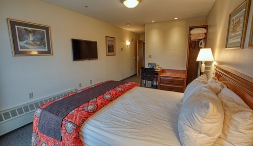 Single Queen ADA Room