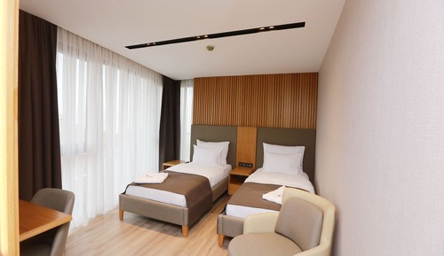 Standard Twin Room, Mountain View