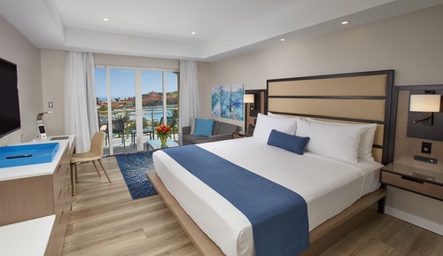 Premium Single Room, 1 King Bed