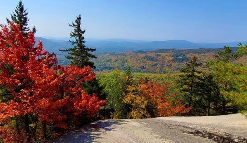House (Cardinals Perch)