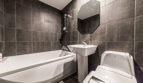 Room (Standard Mini (Netflix Youtube))