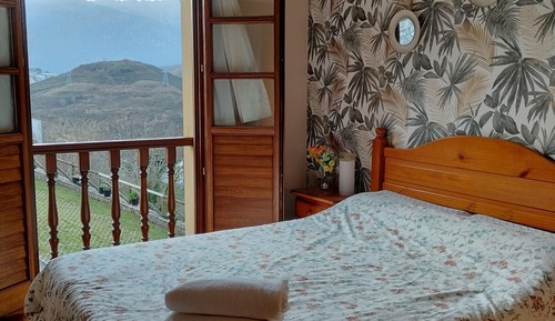 Basic Double or Twin Room