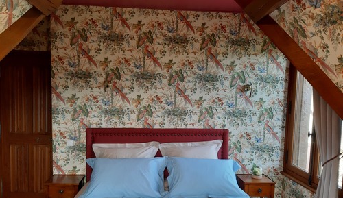 Comfort Room (Les Oiseaux)