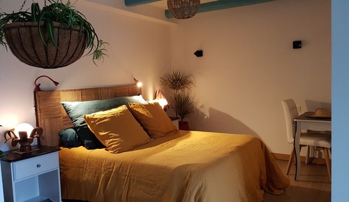 Standard Double Room (Oasis)