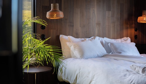 Luxury Villa, 1 King Bed with Sofa bed