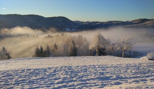 Family Quadruple Room, Ensuite