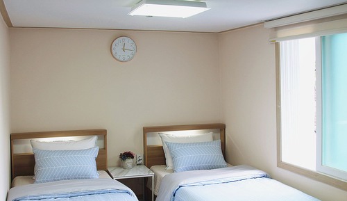 Standard Double or Twin Room, 2 Twin Beds, Non Smoking