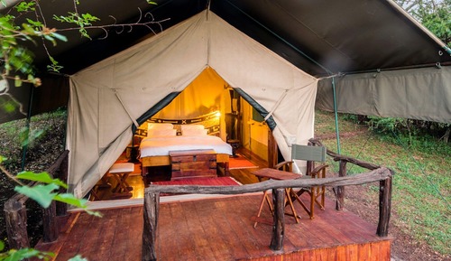 Standard Tent