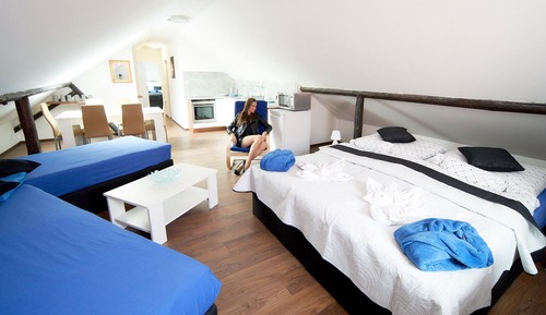 Luxury Apartment (Mia)