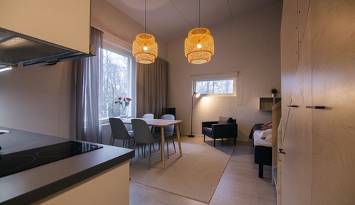 Studio with Loft