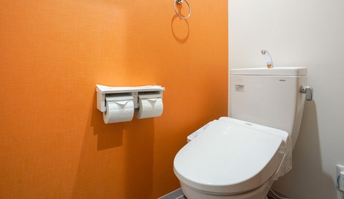 Deluxe Twin Room, Non Smoking (check-in is not available after 11PM)