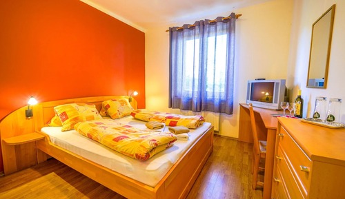 Standard Double or Twin Room